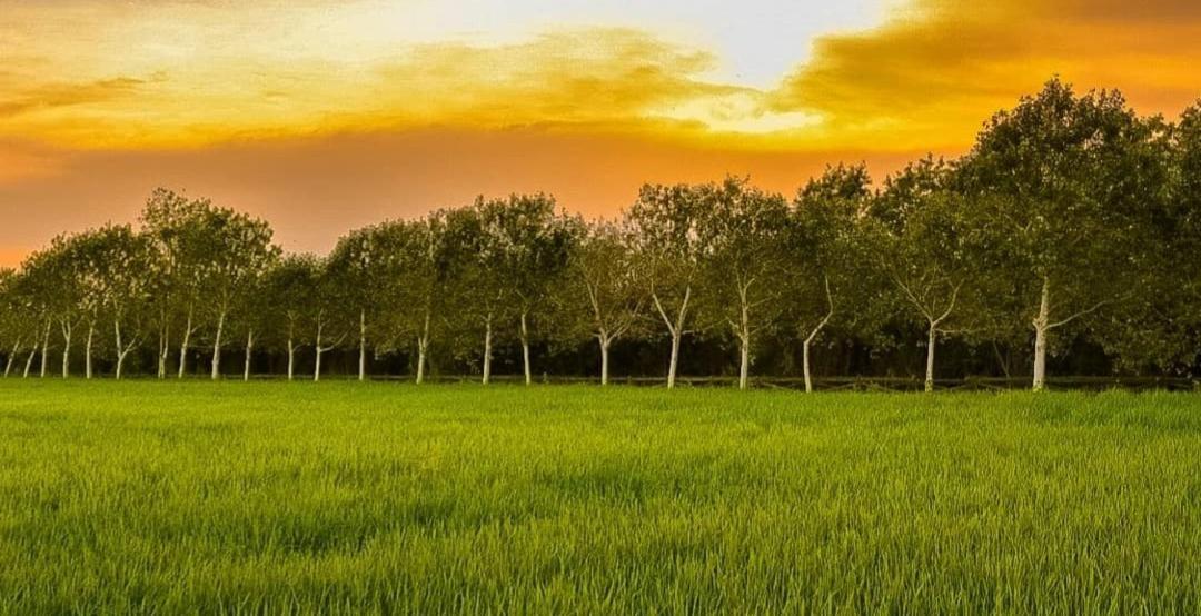 La Mar Daire Amposta Dış mekan fotoğraf